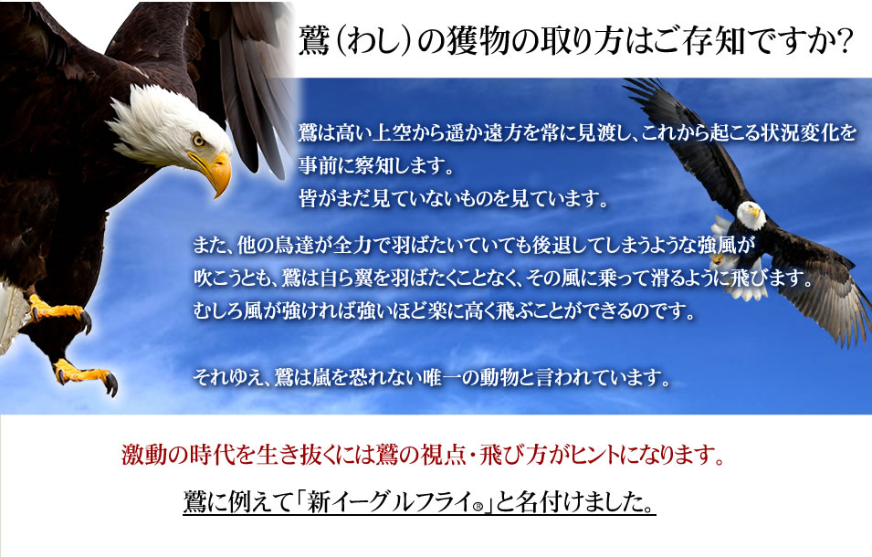 �V�C�[�O���t���C�̗R��
