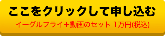 ここをクリックして申し込む　イーグルフライ+動画のセット　1万円（税込）