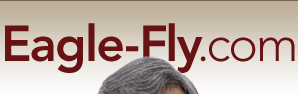 eagle-fly.com